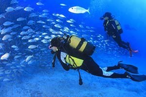 Bautismos y cursos en el sur de Tenerife. Club de buceo Rincón de Arona, scuba diving Tenerife